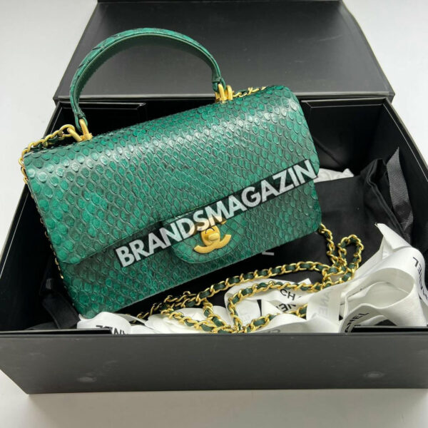 Сумка Chanel из кожи питона BM67984677
