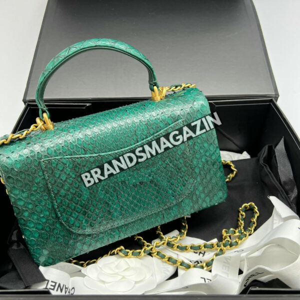 Сумка Chanel из кожи питона BM67984677 2