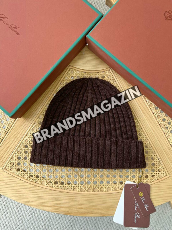 Шапка Loro Piana BM47046652277 3